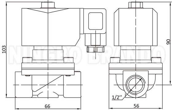 2W160-15 1/2'' 2Way NC Brass Solenoid Valve مع IP65 Coil 24V 220V