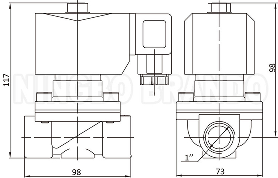 2W250-25 1'' 2 طريق مغلق بشكل طبيعي الصمام الكهربائي للماء النحاسي 24V 220V