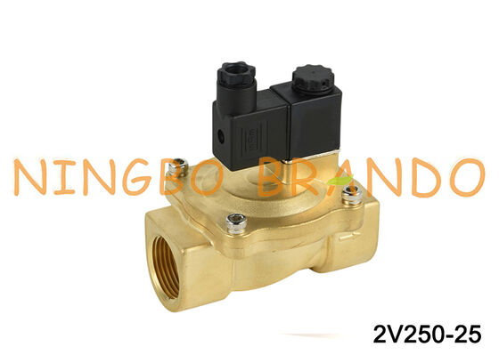 Airtac نوع 2V250-25 2 طريقة صمام الملف اللولبي صمامات الهواء AC220V 110V DC12V 24V