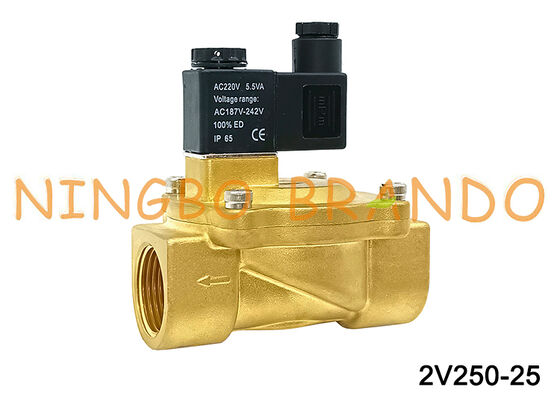 Airtac نوع 2V250-25 2 طريقة صمام الملف اللولبي صمامات الهواء AC220V 110V DC12V 24V