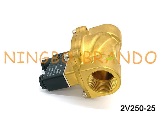Airtac نوع 2V250-25 2 طريقة صمام الملف اللولبي صمامات الهواء AC220V 110V DC12V 24V
