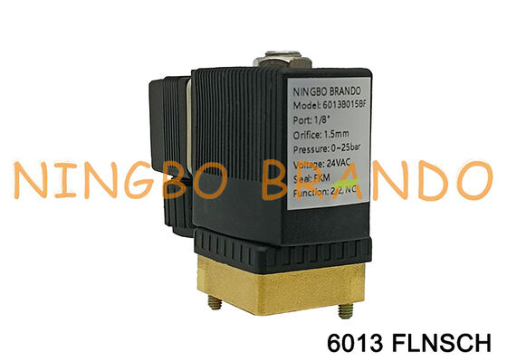 النوع 6013 A 1.5 2.0 3.0 FKM MS FLNSCH صمام الملف اللولبي ذو المفعول المباشر
