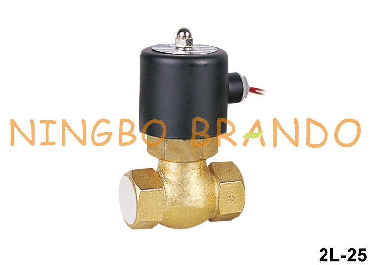 2L-25 US-25 1 `` DN25 صمام ملف لولبي نحاسي للبخار 24 فولت 220 فولت